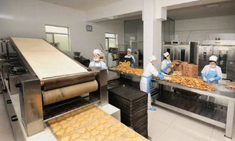 西安食品廠凈化車(chē)間規(guī)范要求與軟件開(kāi)發(fā)前的潔凈車(chē)間設(shè)計(jì)關(guān)鍵點(diǎn)