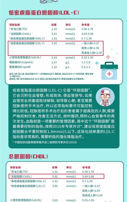 血脂健康管理 主動干預，守護生命之源